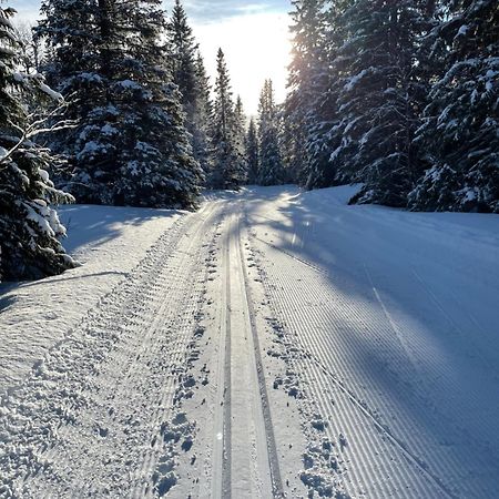 Areskutans Laegenhet Med Laddning Foer Bil 22Kw Husa Exterior foto