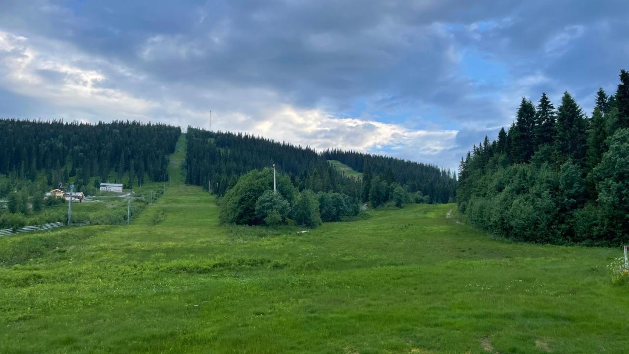 Areskutans Laegenhet Med Laddning Foer Bil 22Kw Husa Exterior foto