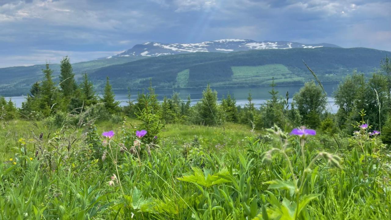 Areskutans Laegenhet Med Laddning Foer Bil 22Kw Husa Exterior foto
